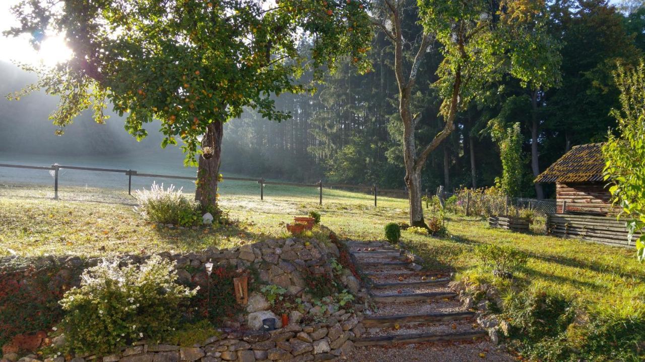Ferienhaus Vulkaneifel Landhaus Loogh Kerpen  Экстерьер фото